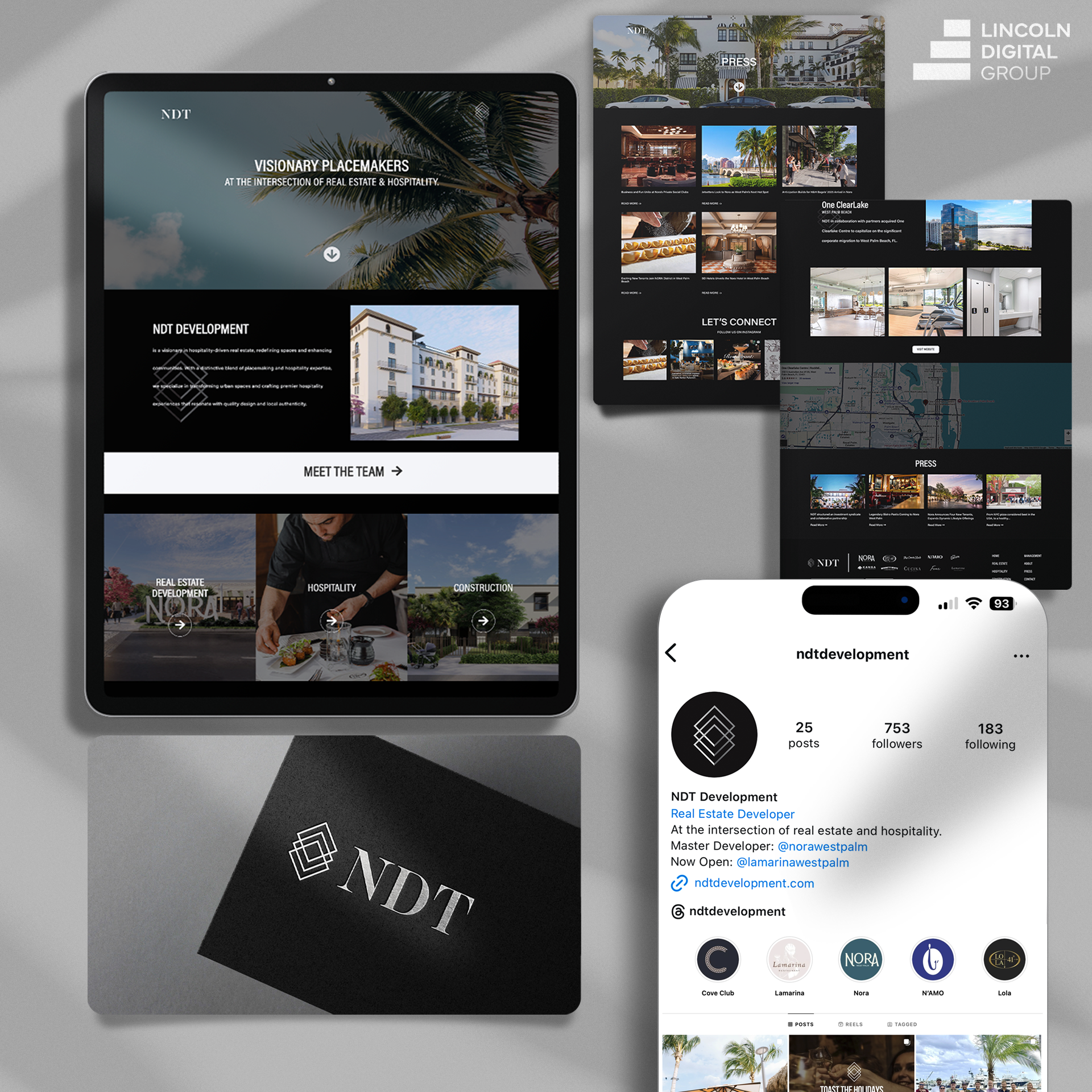 LINCOLN DIGITAL GROUP CLIENT PROFILE NDT (2)