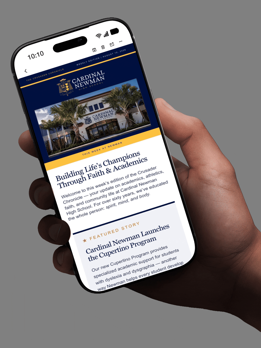 cardinal newman lincoln digital west palm beach email marketing